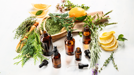 Los aceites esenciales en la cocina: cómo utilizar los aceites para dar sabor y aroma a nuestros platillos.