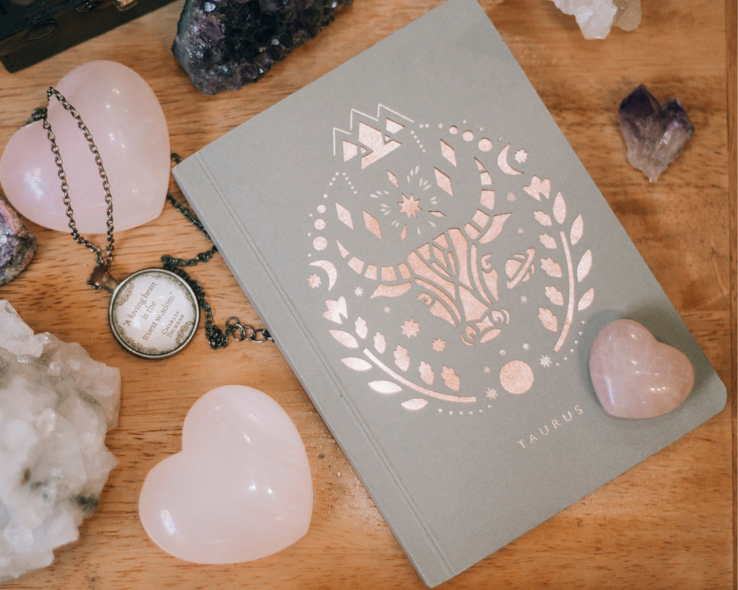GRATITUDE DIARIES