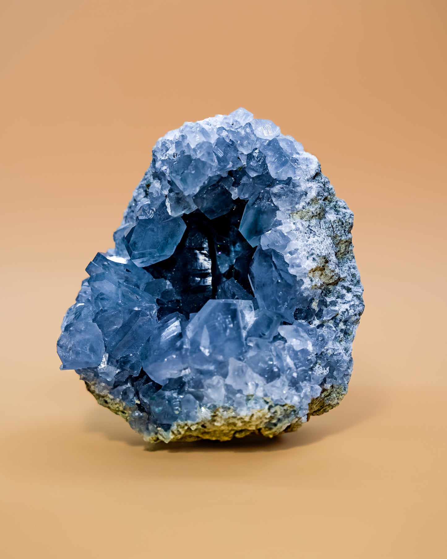 DRUSA CELESTINA